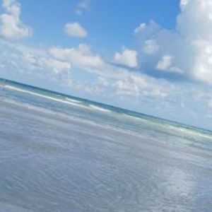 Meet your Posher, Kaila